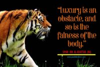 umar-bin-khattab-quotes-luxury-and-fatness