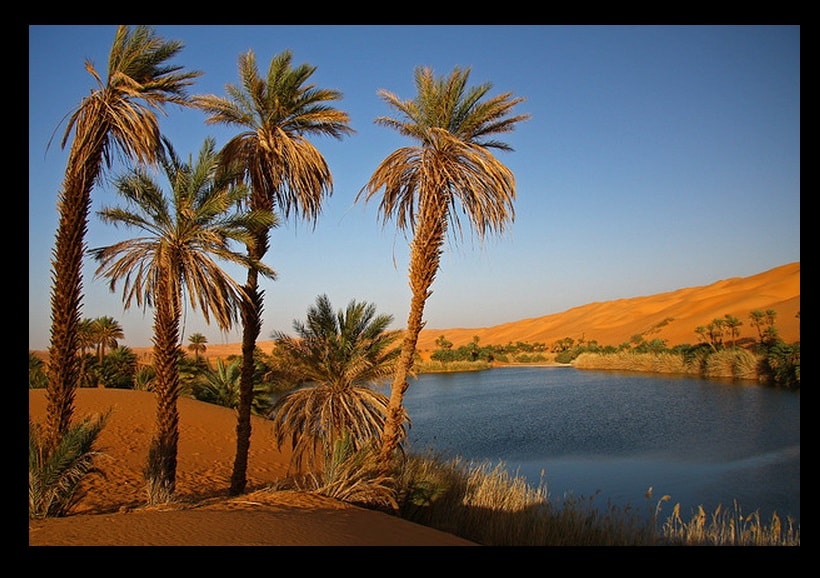 pohon-kurma-dan-oase-di-arab